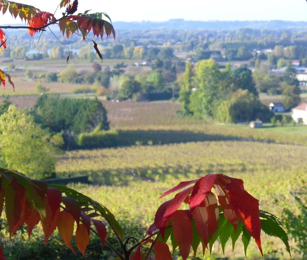 Romantic Gite Nr St Emilion With Private Pool And Views To Die For Pujols  Exterior foto